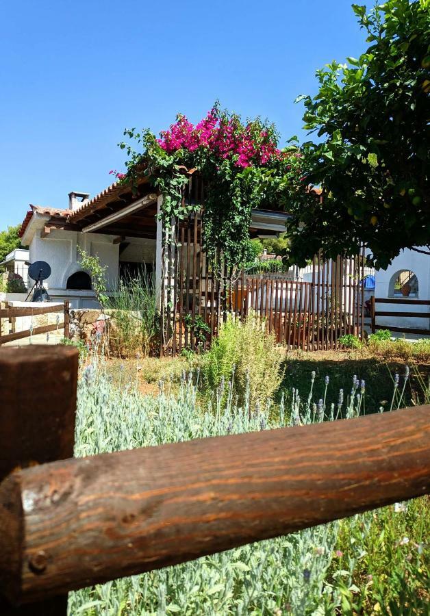 Koel Country House Ano Almiri Bagian luar foto